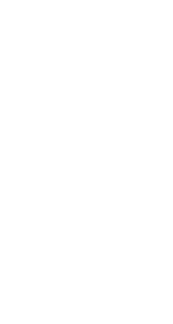 *Vela mediana 10 cm *30 segundos de duración *Chispa 3 colores en la misma vela *No contiene pólvora *No produce residuos *No es tóxico *No es pirotecnia *Ideal para uso en interiores